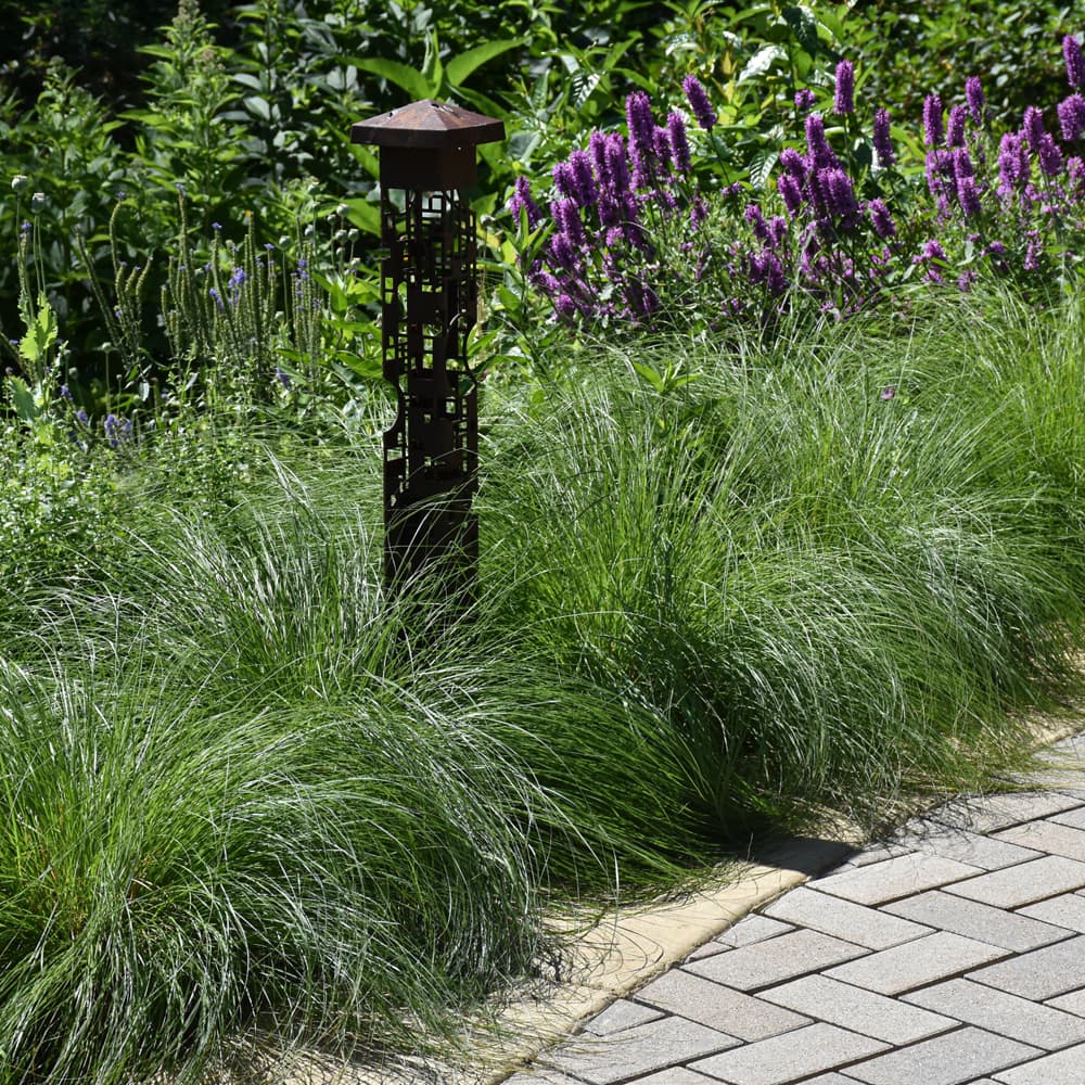 NetPS Plant Finder (www.netpsplantfinder.com)