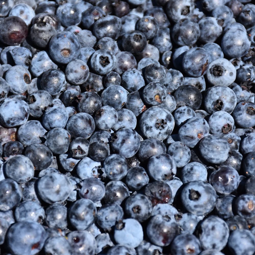 NetPS Plant Finder (www.netpsplantfinder.com)