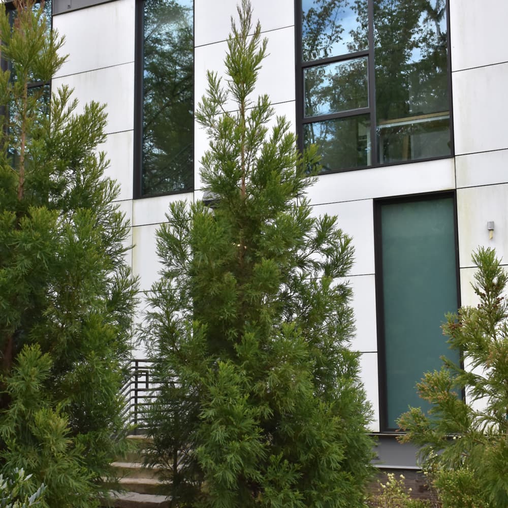 NetPS Plant Finder (www.netpsplantfinder.com)