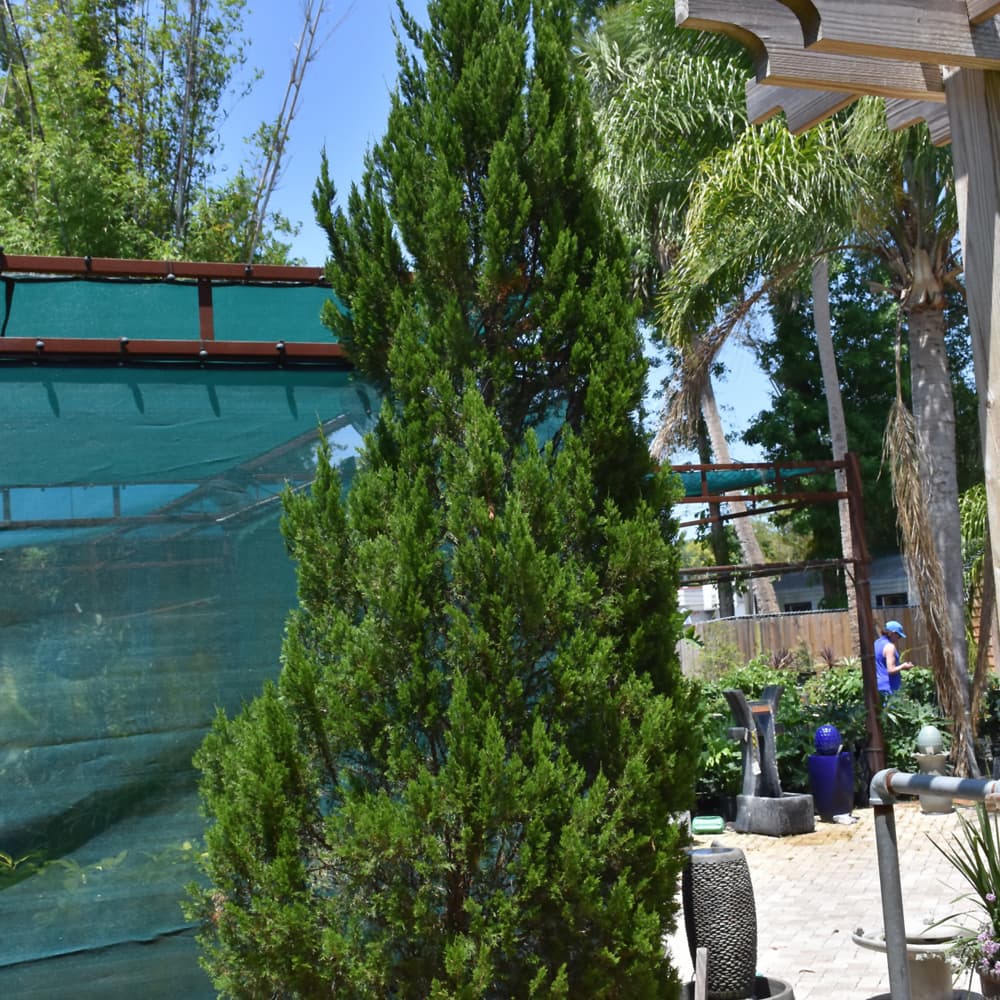 NetPS Plant Finder (www.netpsplantfinder.com)